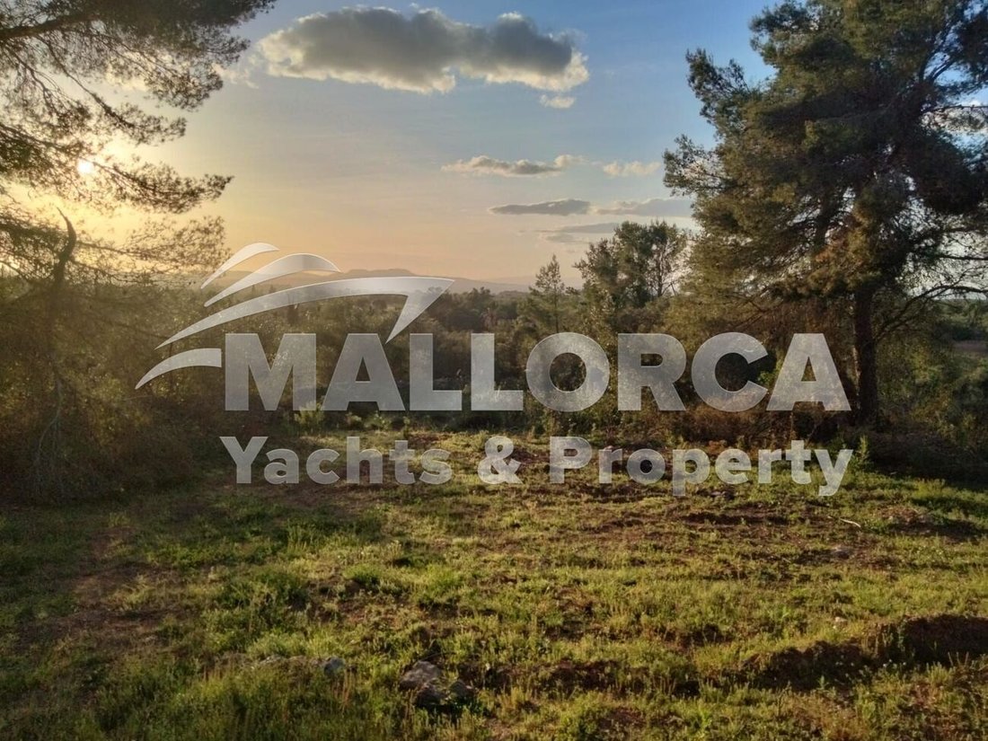 Land in Felanitx, Balearic Islands, Spain 2 - 18302434