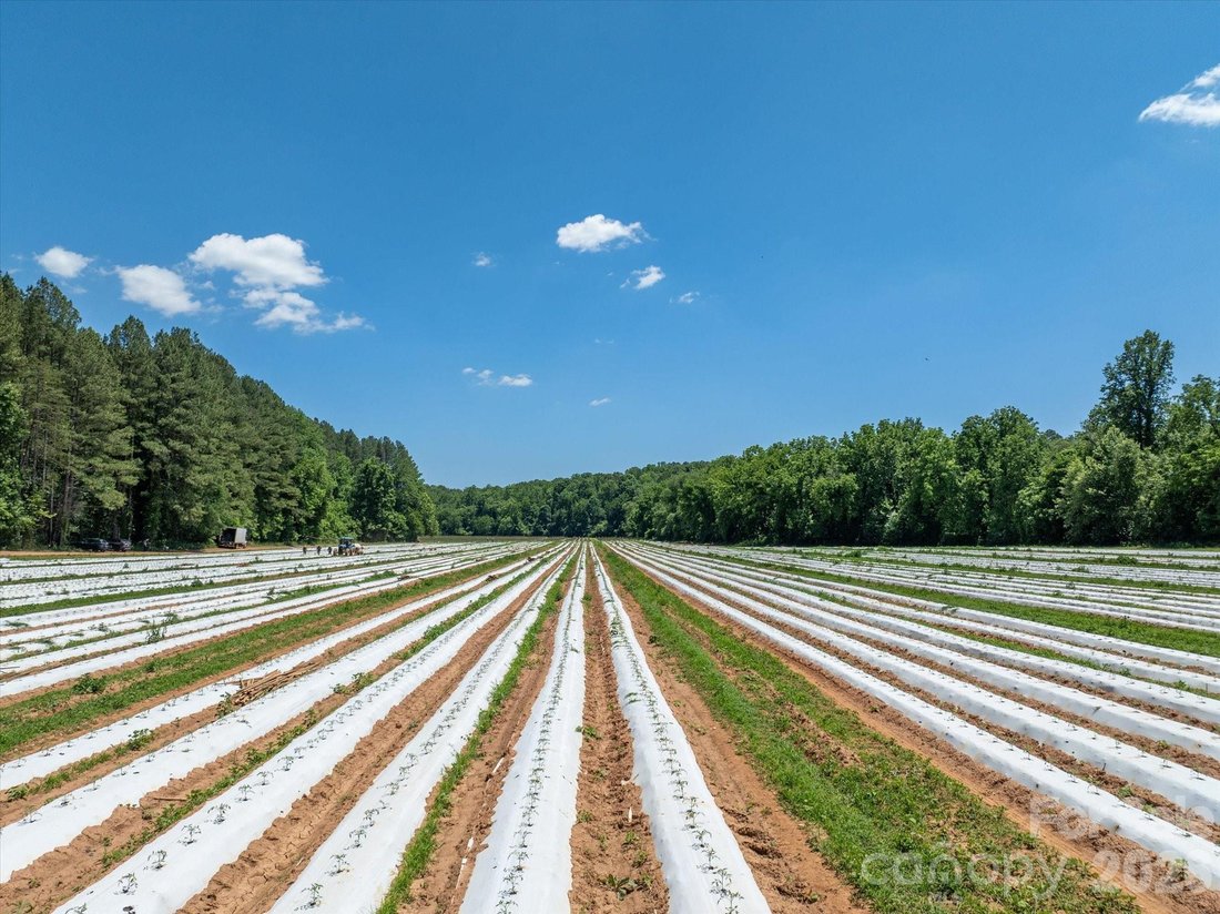 Land in Rutherfordton, North Carolina, United States 3 - 18300192