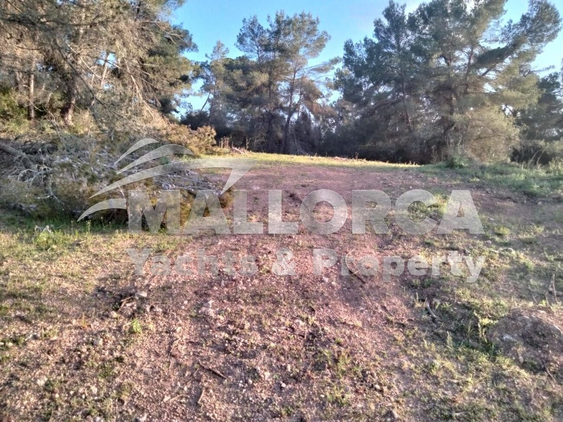 Land in Felanitx, Balearic Islands, Spain 1 - 18302434