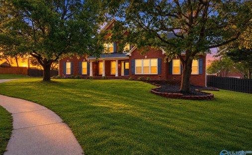 House in Madison, Alabama, United States 1