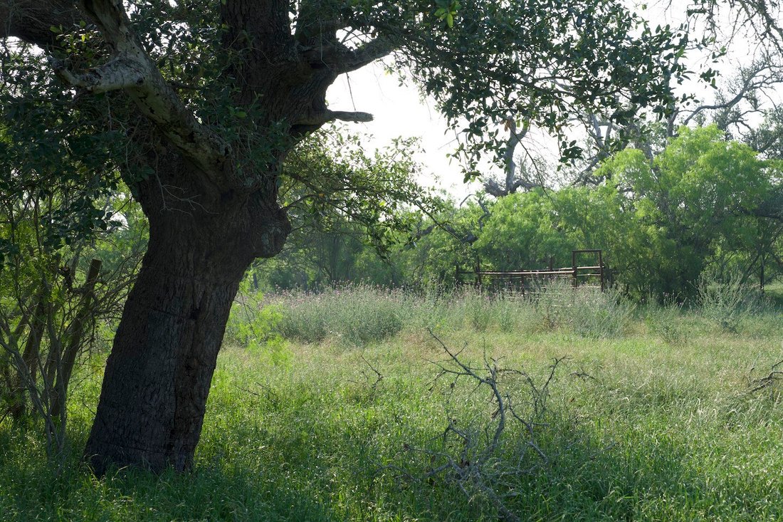 Farm Ranch in Red Rock, Texas, United States 1 - 14631289
