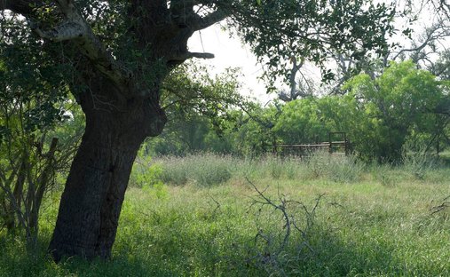 Corps de ferme à Red Rock, Texas, États-Unis 1