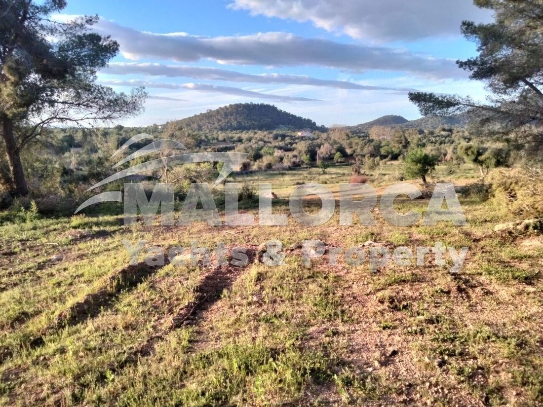 Land in Felanitx, Balearic Islands, Spain 3 - 18302434