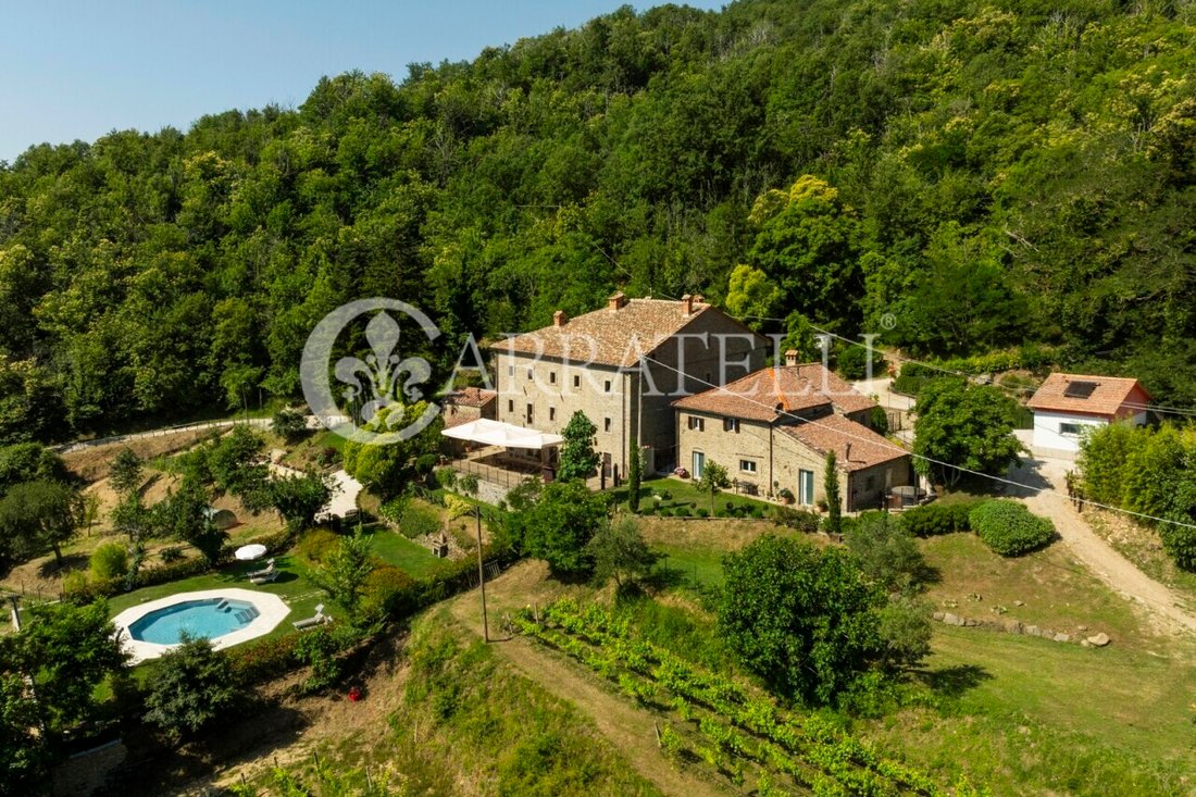 Country House in Cegliolo - Torreone - Portole, Cortona, Tuscany 3 - 16986681