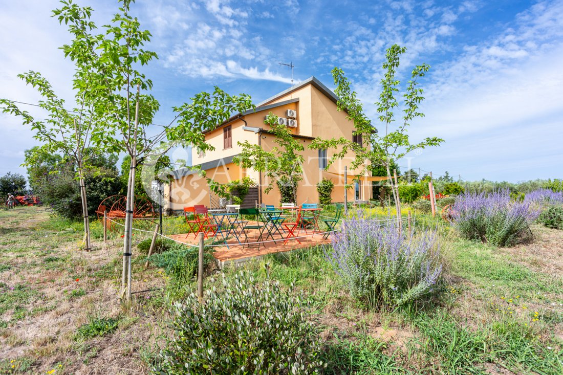 Country House in Grosseto, Tuscany, Italy 5 - 18300269