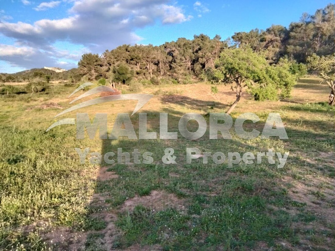 Land in Felanitx, Balearic Islands, Spain 5 - 18302434