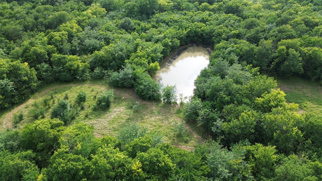 Land in Campbell, Texas, United States 2 - 17540132