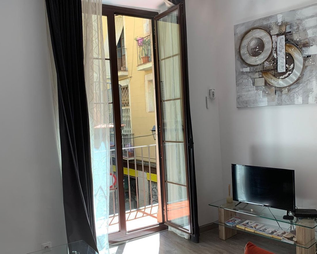 Apartment in Ciutat Vella, Barcelona, Spain 2 - 18302682