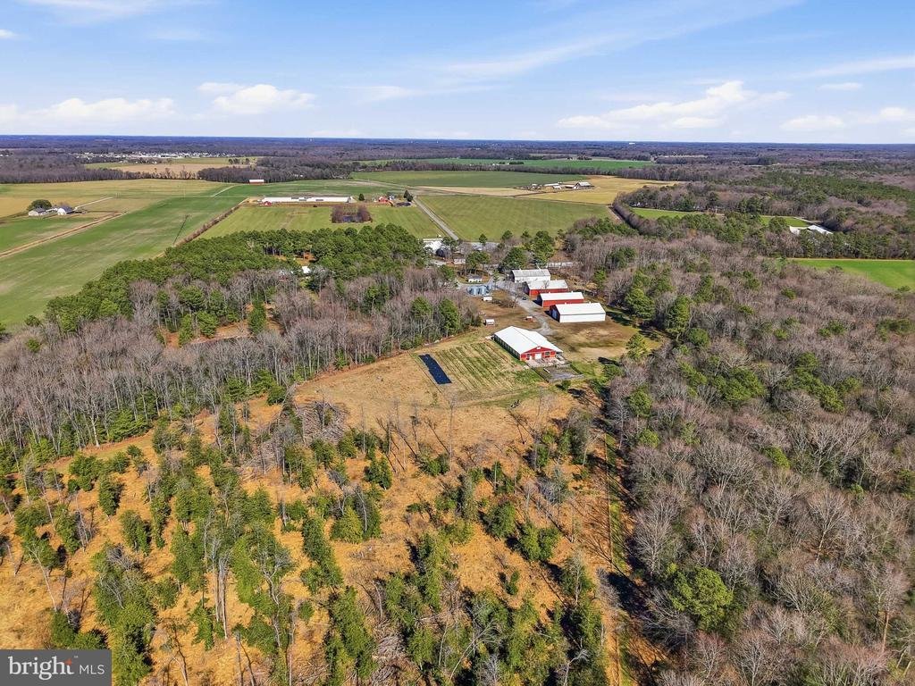 House in Greenwood, Delaware, United States 3 - 18300177