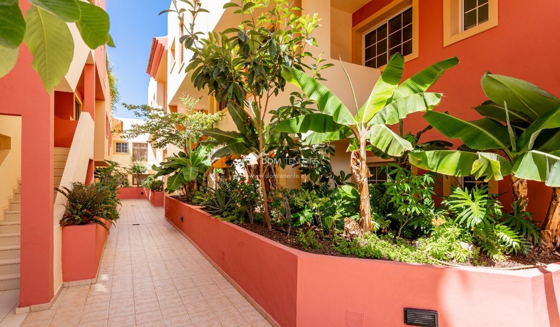 Apartment in Costa Adeje, Adeje, Canary Islands 1 - 18302784