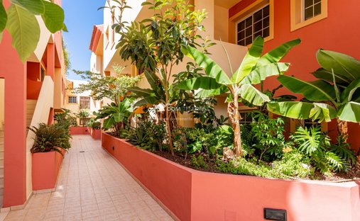Apartment in Costa Adeje, Adeje, Canary Islands 1