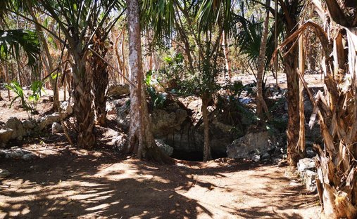 Land in Playa del Carmen, Quintana Roo, Mexico 1