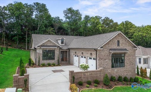 House in Madison, Alabama, United States 1