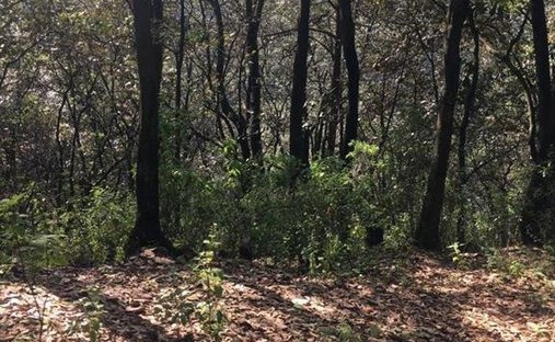 Land in Villa del Carbón, Bundesstaat Mexiko, Mexiko 1