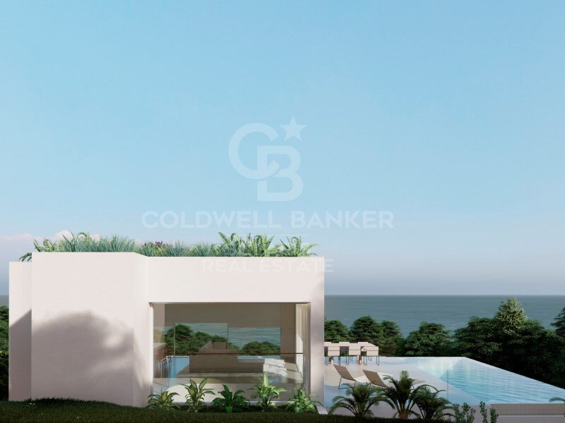 Land in Aspe, Valencian Community, Spain 3 - 18302171