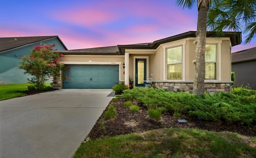 House in Wesley Chapel, Florida, United States 1