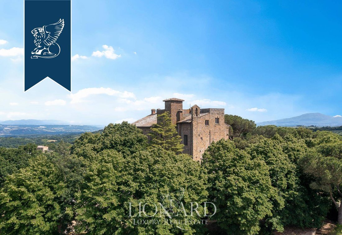 Villa in Civitella d'Agliano, Lazio, Italy 2 - 18302871