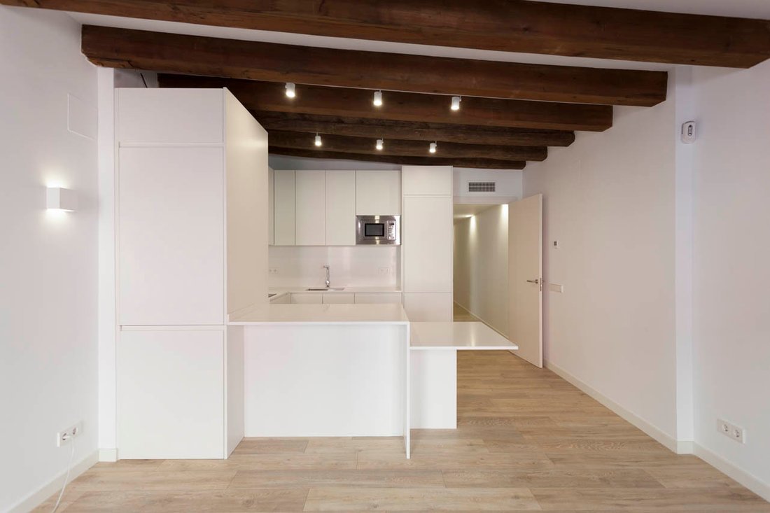 Apartment in Ciutat Vella, Barcelona, Spain 2 - 18299900