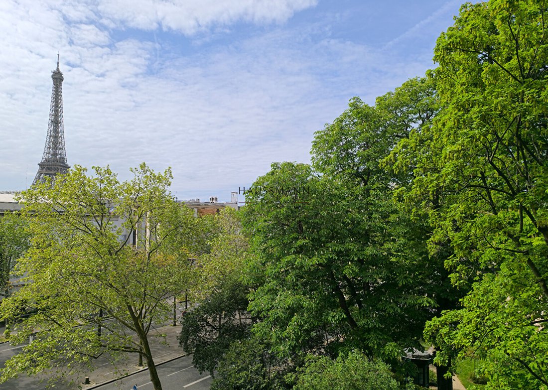 Apartment in Chaillot, Paris 16e Arrondissement, Paris 1 - 18303026