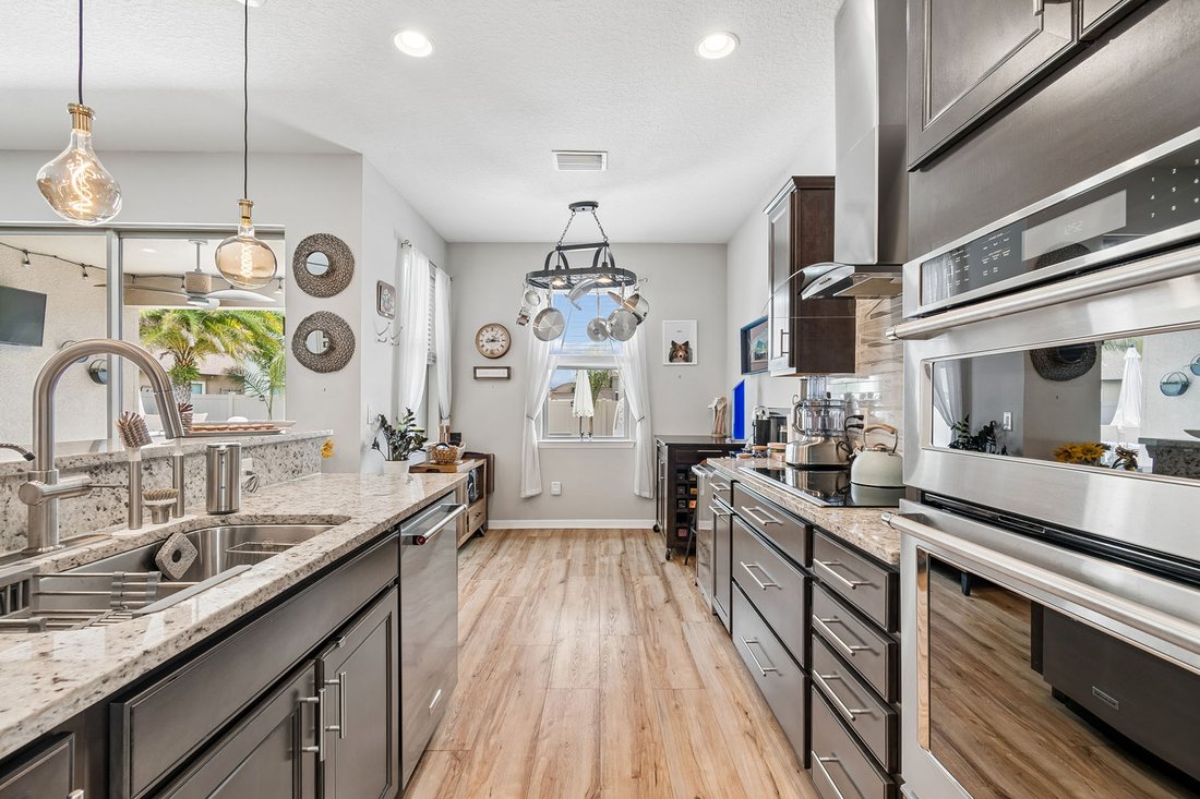 House in Wesley Chapel, Florida, United States 5 - 18297905