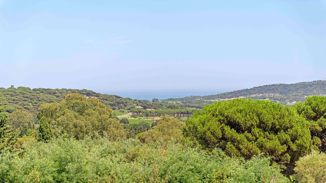 Haus in Ramatuelle, Provence-Alpes-Côte d'Azur, Frankreich 2 - 18302859