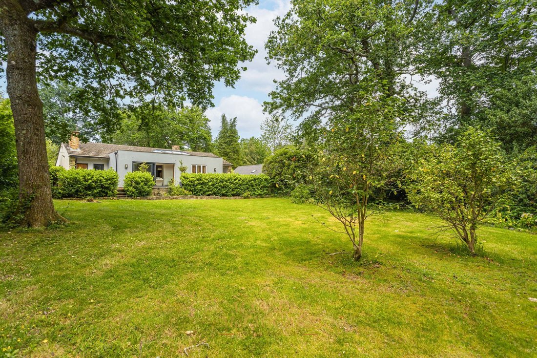House in Felbridge, England 1 - 17241478