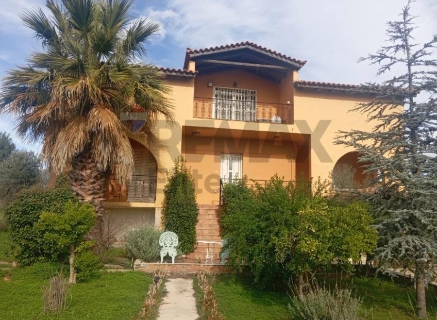 House in Oropos, Attica, Greece 1 - 18299666