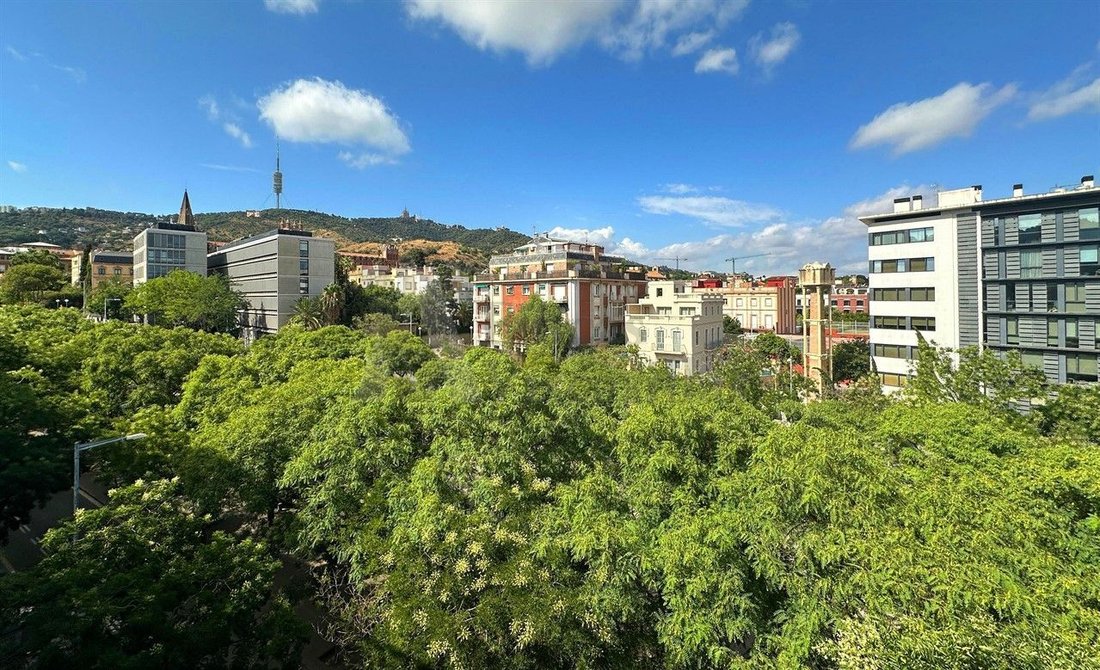 Apartment in Sarrià-Sant Gervasi, Barcelona, Spain 4 - 18300933