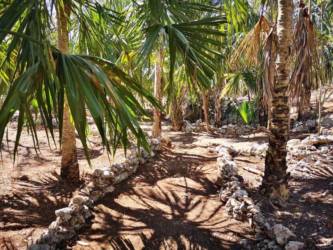 Land in Playa del Carmen, Quintana Roo, Mexico 4 - 18299302