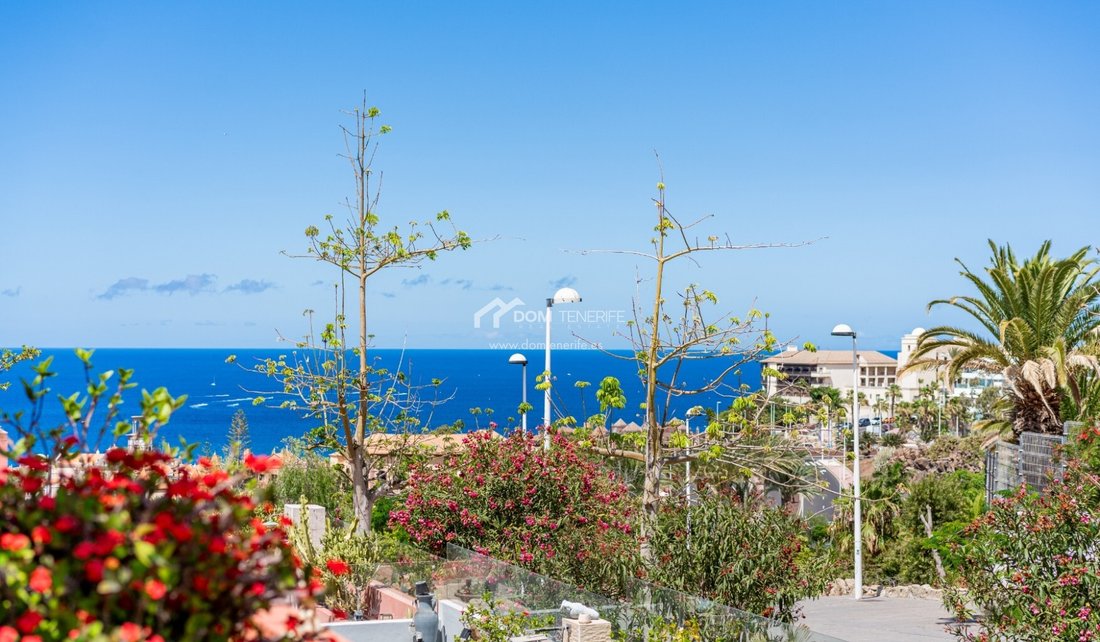 Apartment in Costa Adeje, Adeje, Canary Islands 2 - 18302784