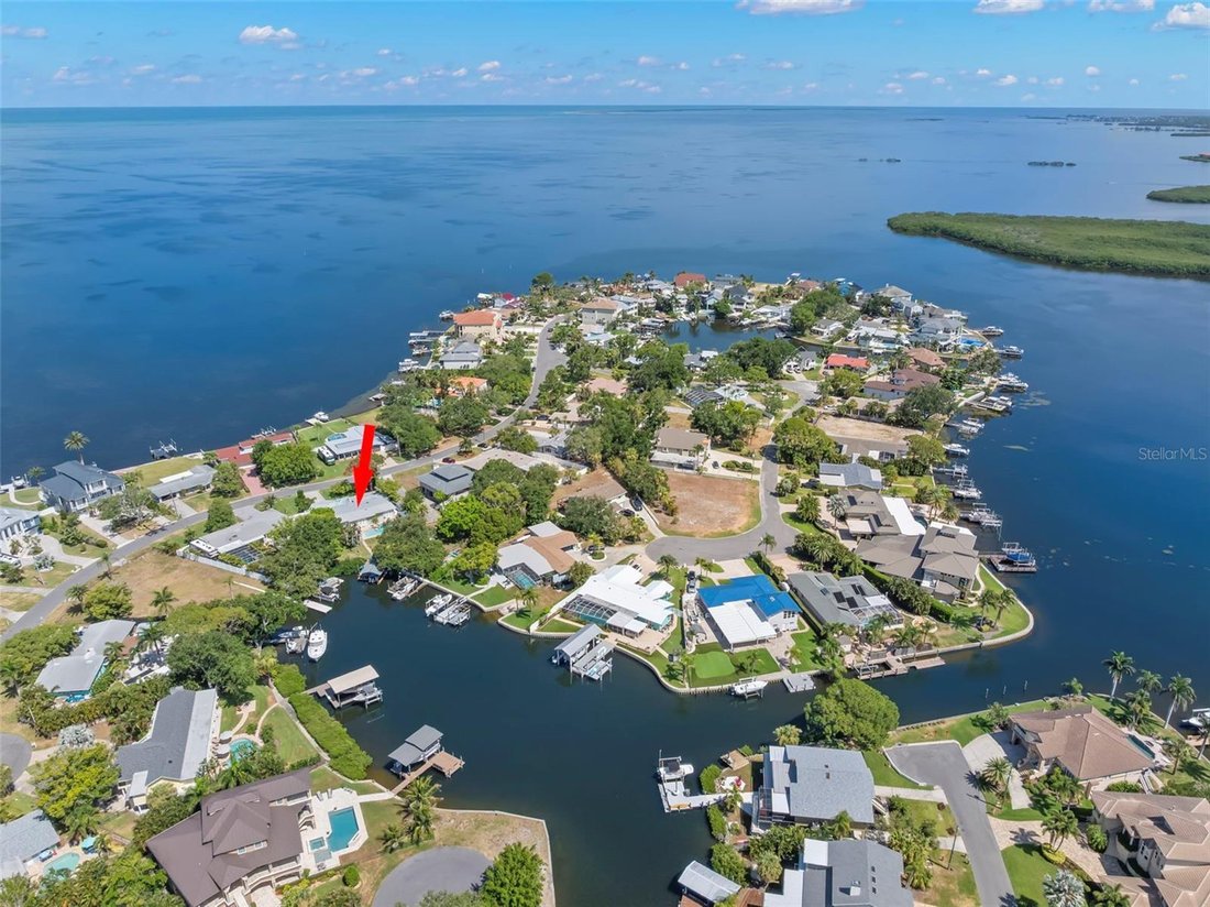 House in Palm Harbor, Florida, United States 1 - 18300448