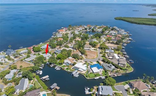 Haus in Palm Harbor, Florida, Vereinigte Staaten 1