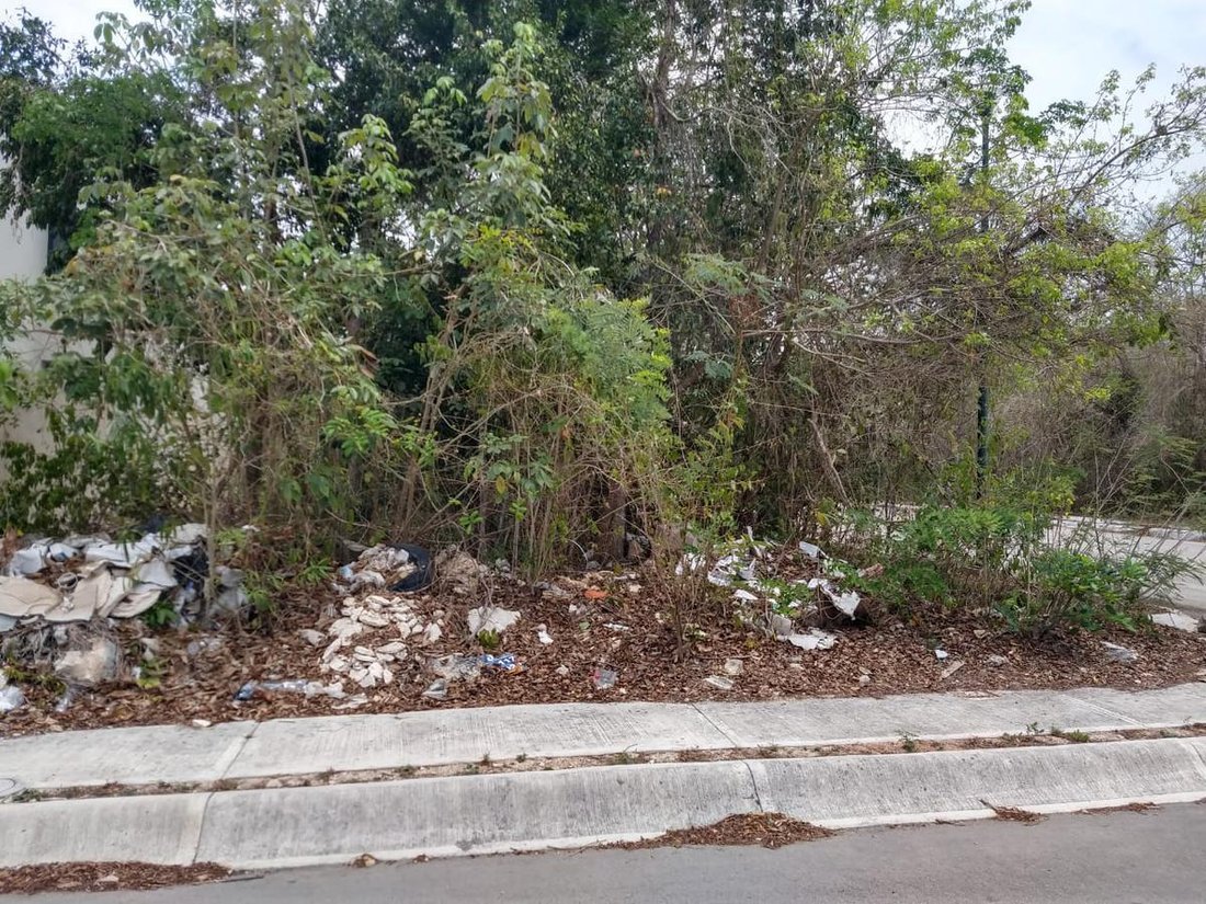 Land in Playa del Carmen, Quintana Roo, Mexico 5 - 18299304