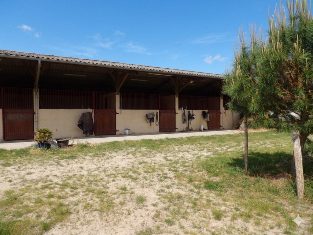 Land in Creon-d'Armagnac, Nouvelle-Aquitaine, France 1 - 18303021