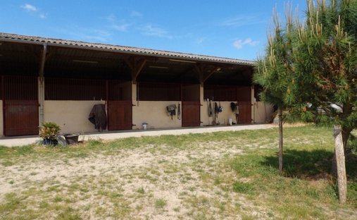 Land in Creon-d'Armagnac, Nouvelle-Aquitaine, France 1