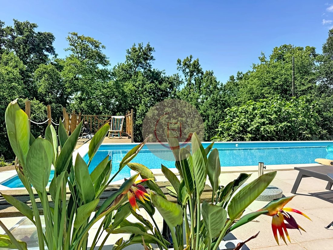 Villa in Les Adrets-de-l'Estérel, Provence-Alpes-Côte d'Azur, France 4 - 18298772