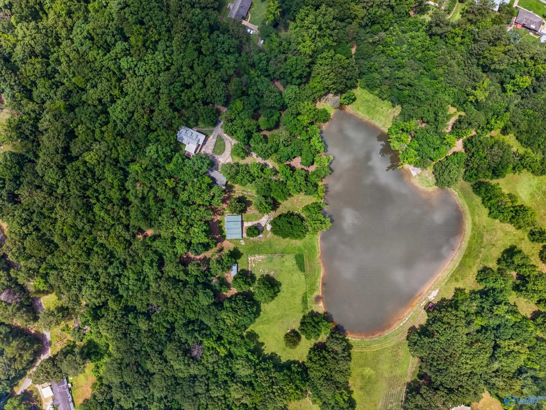 House in Calera, Alabama, United States 5 - 18299962