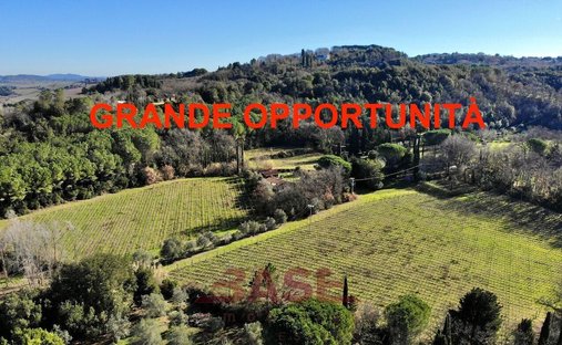 Estate in Montescudaio, Tuscany, Italy 1