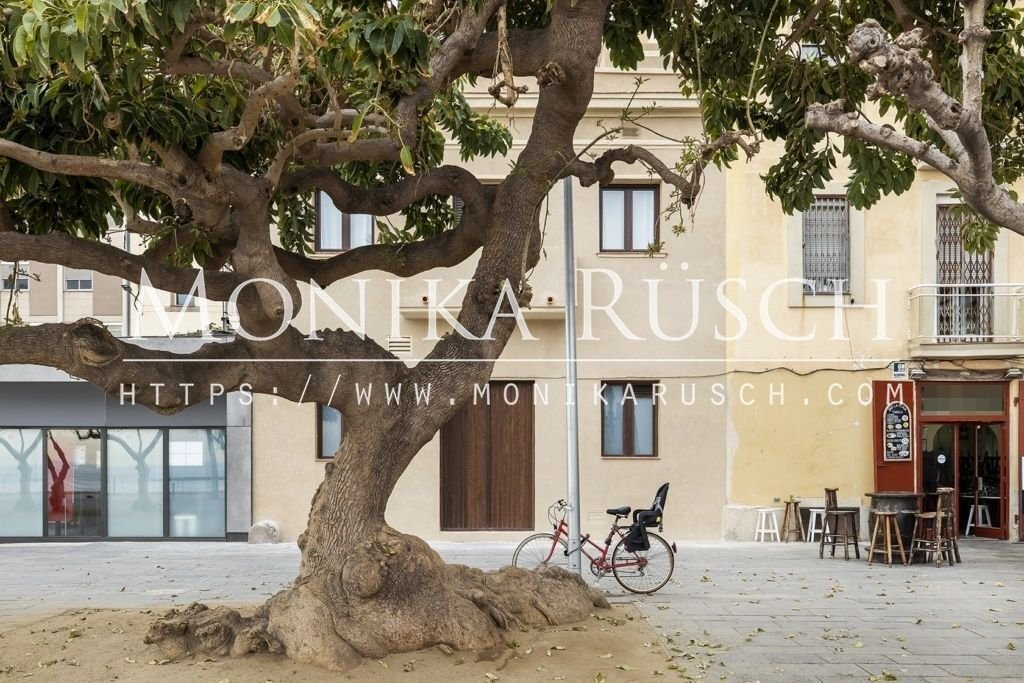 Apartment in Ciutat Vella, Barcelona, Spain 2 - 18300809