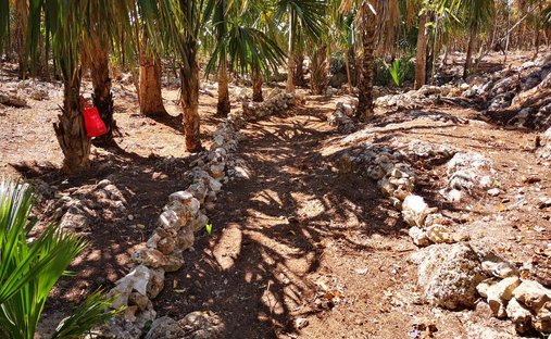 Terreno a Playa del Carmen, Quintana Roo, Messico 1