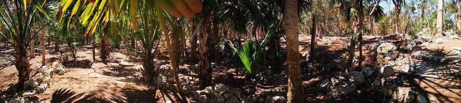 Land in Playa del Carmen, Quintana Roo, Mexico 1 - 18299300