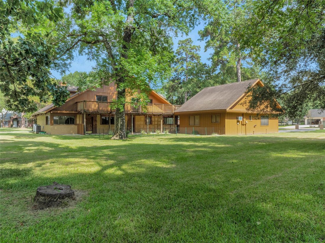 House in Conroe, Texas, United States 5 - 18302069