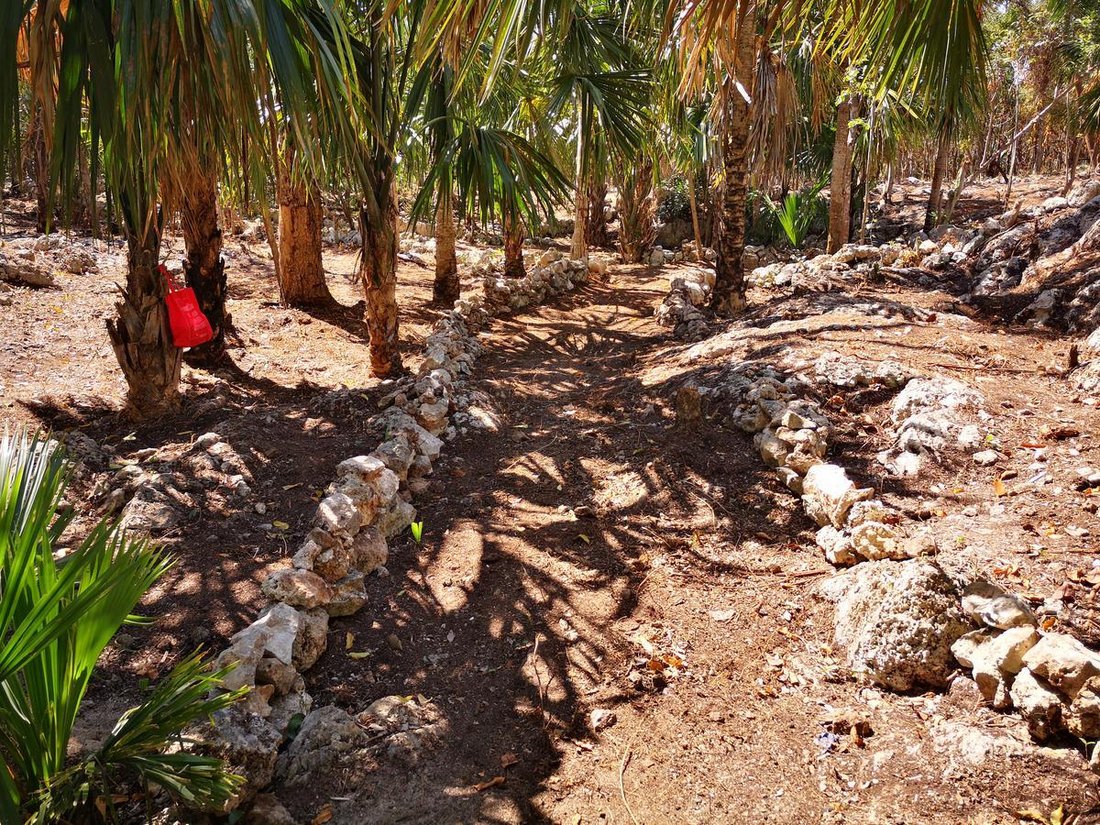 Land in Playa del Carmen, Quintana Roo, Mexico 4 - 18299298