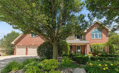 House in Monee, Illinois, United States 1
