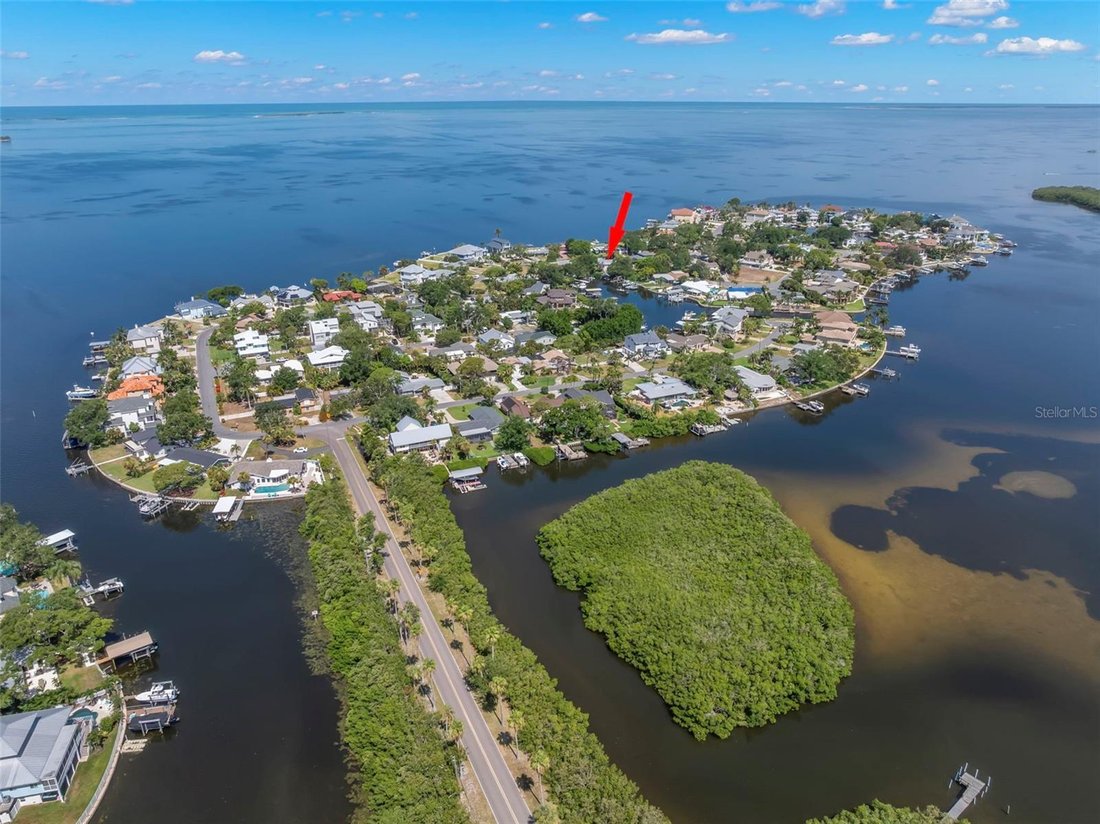House in Palm Harbor, Florida, United States 3 - 18300448