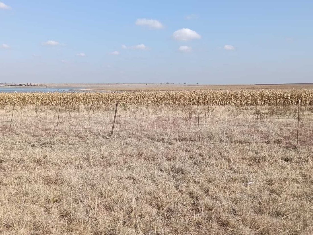 Farm Ranch in Heilbron, Free State, South Africa 1 - 18298970
