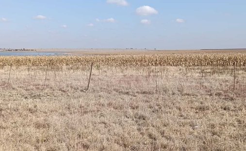 Farm Ranch in Heilbron, Free State, South Africa 1
