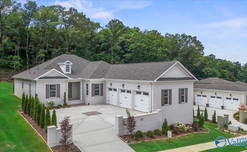 House in Madison, Alabama, United States 1