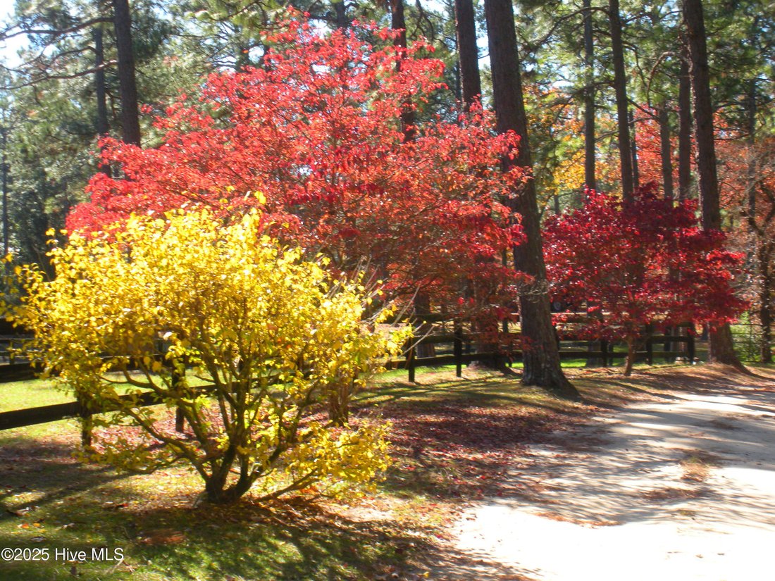 House in Vass, North Carolina, United States 4 - 16053639