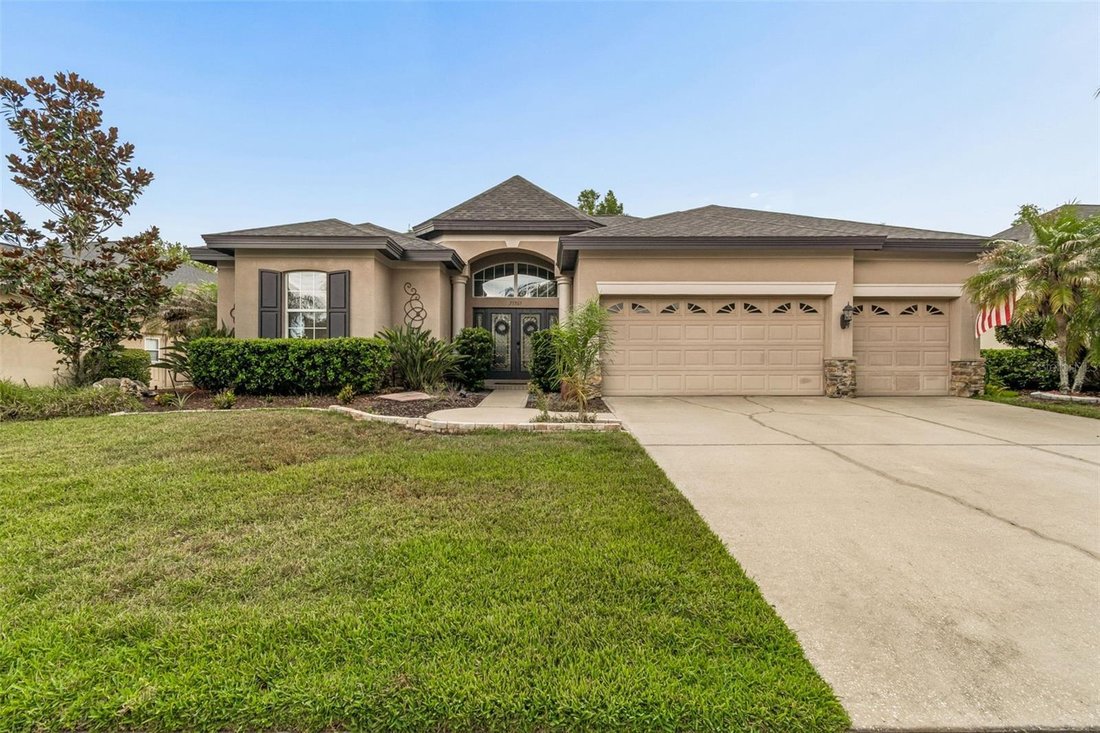 House in Land O' Lakes, Florida, United States 1 - 18300524